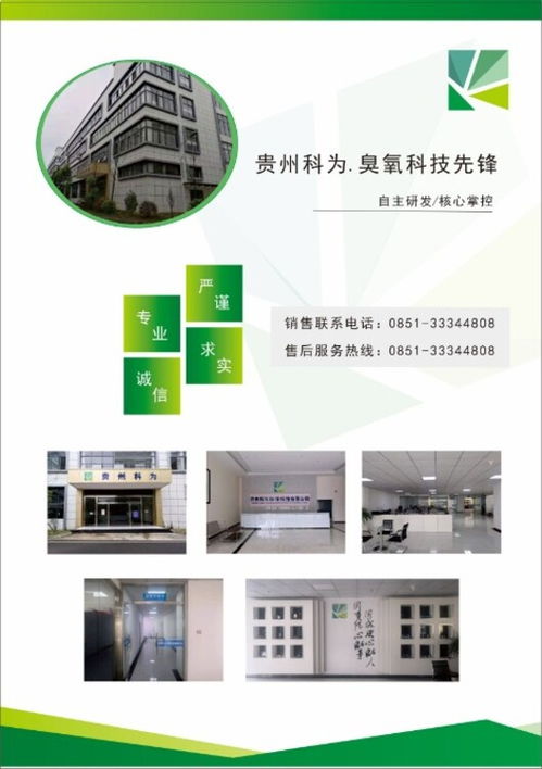 貴州安順10g臭氧消毒機 家用辦公室環境凈化的專業選擇